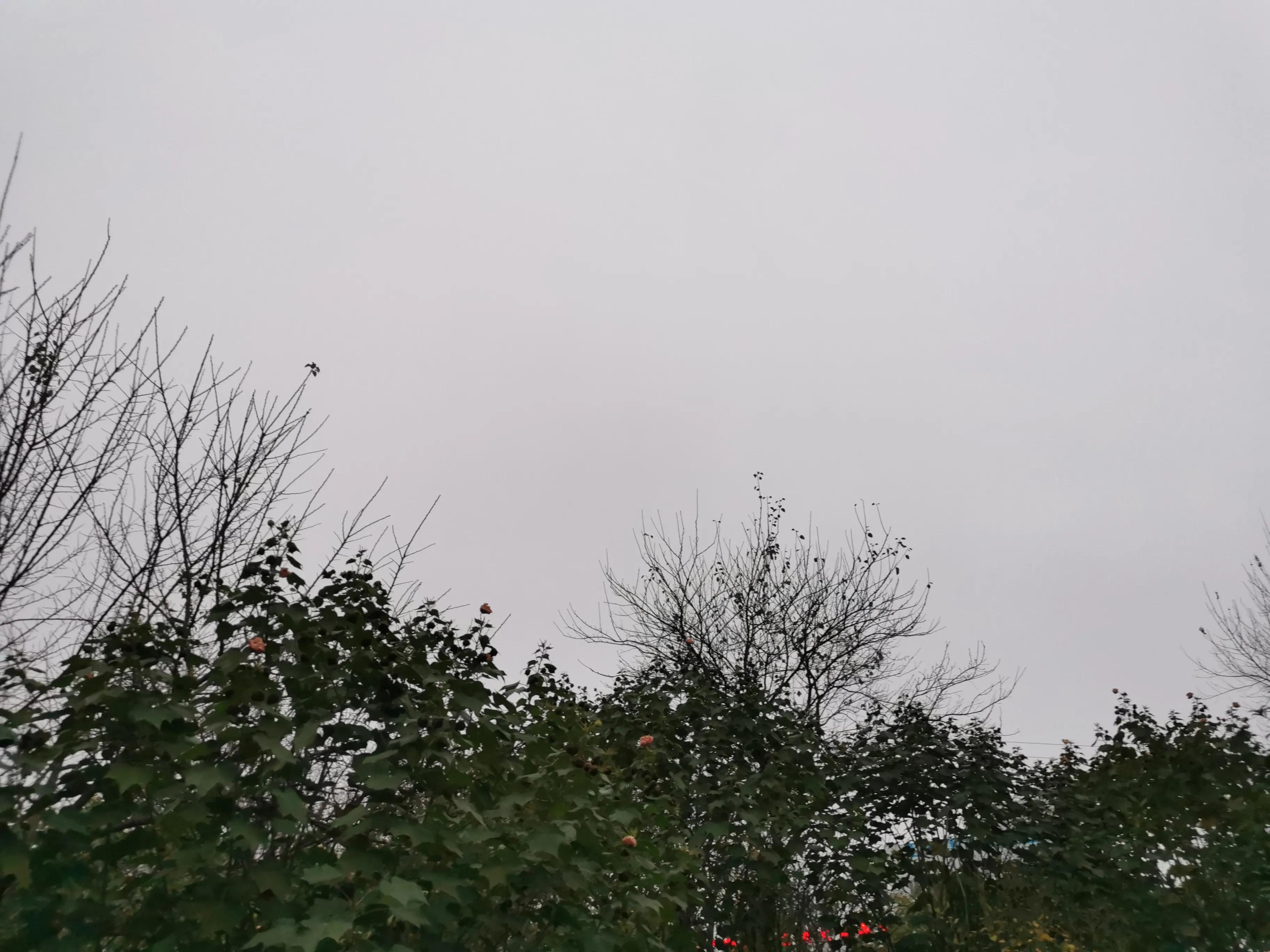 吹在旷野的风图片,吹旷野的风下一句