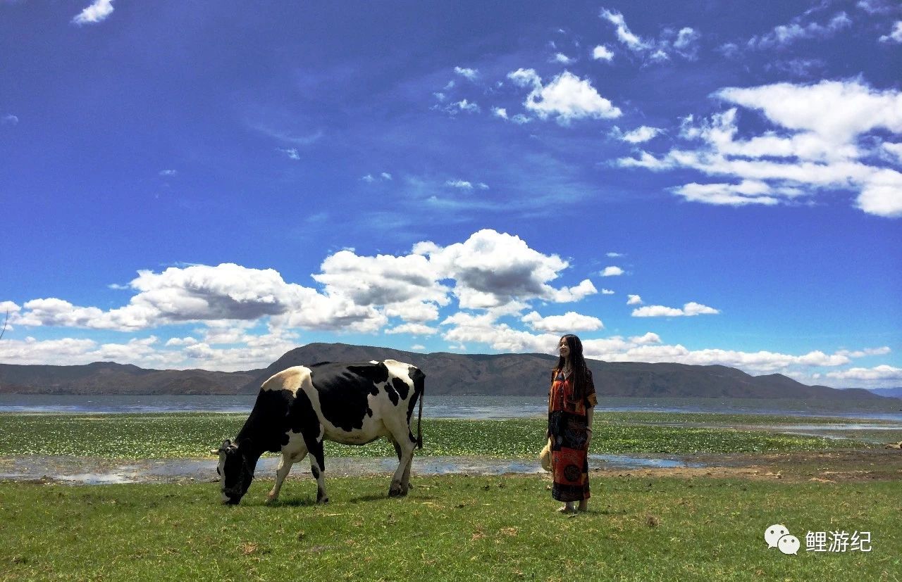 环海公路好看的图片,西南风景图片横图