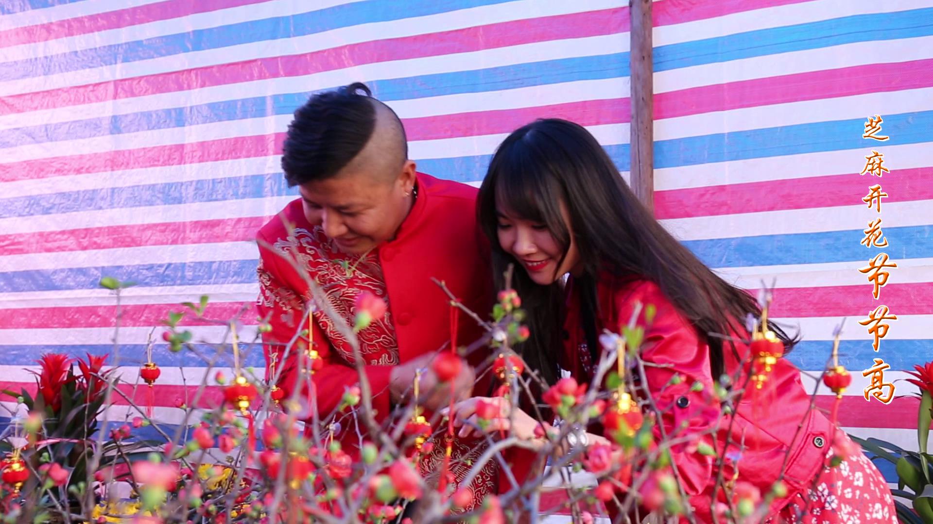 2021年粤语贺年歌曲视频,贺年歌粤语贺岁歌曲mv