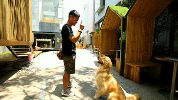 「椒霸霸×1CAKE」联名来啦！只要28.9元，和爱宠共享悠然午后