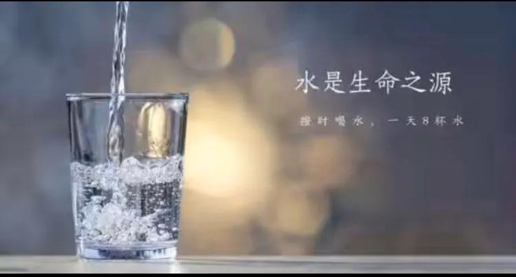 解酒护肝心肝宝贝,心肝宝贝护肝