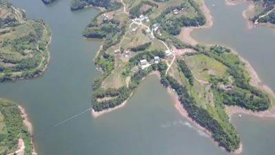 鲁班接待称“每天都可起10多斤的大草鱼”？