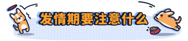 狗狗第一次来姨妈很肿,狗狗第一次来姨妈拉肚子