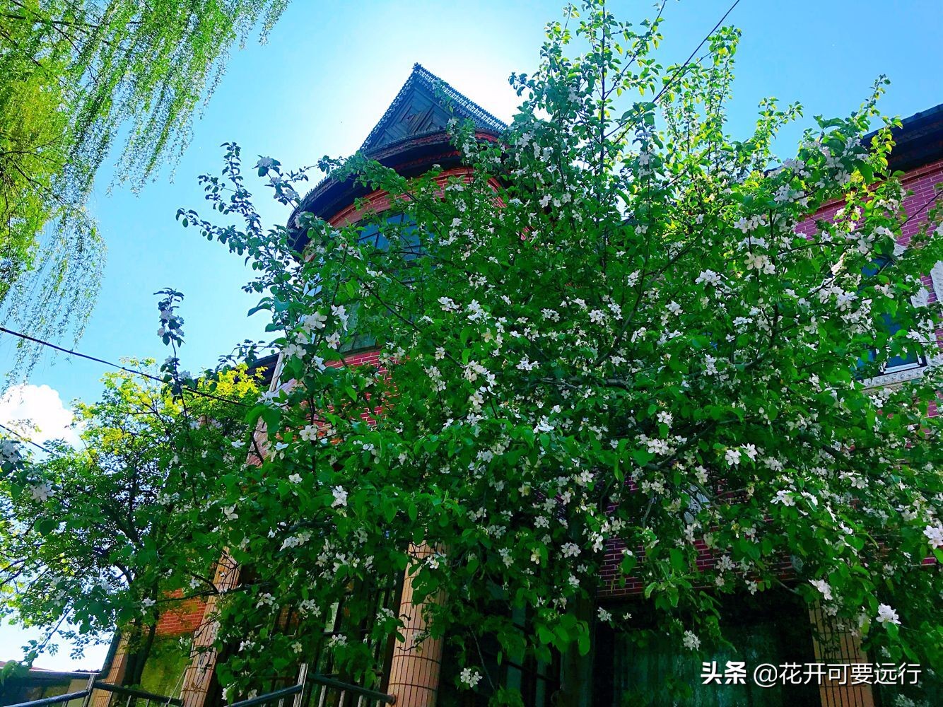 伊犁美景喀赞其,伊犁老城喀赞其体验异域风情感受