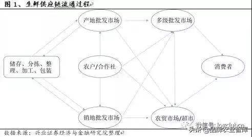 2022年中国生鲜电商行业,中国生鲜供应链市场研究报告