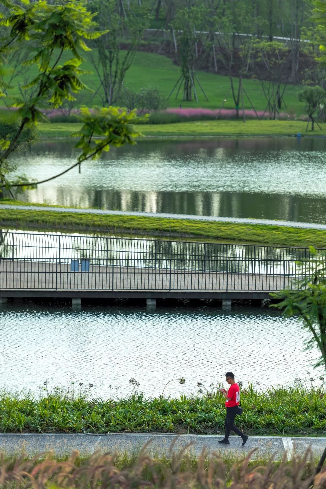 成都绿道被隔开,成都被3条路包围的楼盘