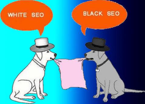 seo白帽技术排名,白帽seo手段有哪些