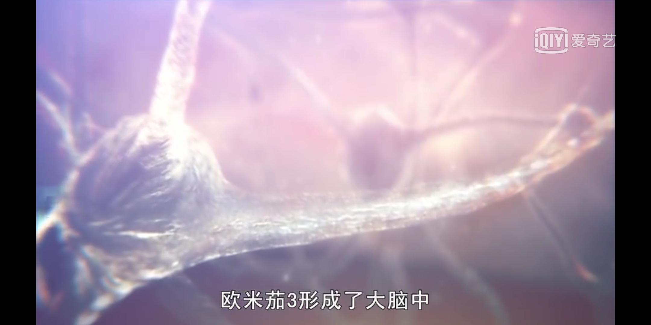 欧米伽3对儿童大脑发育有作用吗,欧米伽3对儿童有什么作用