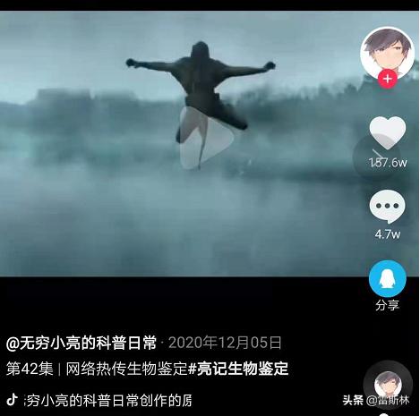 水猴子警告,小亮日常科普水猴子