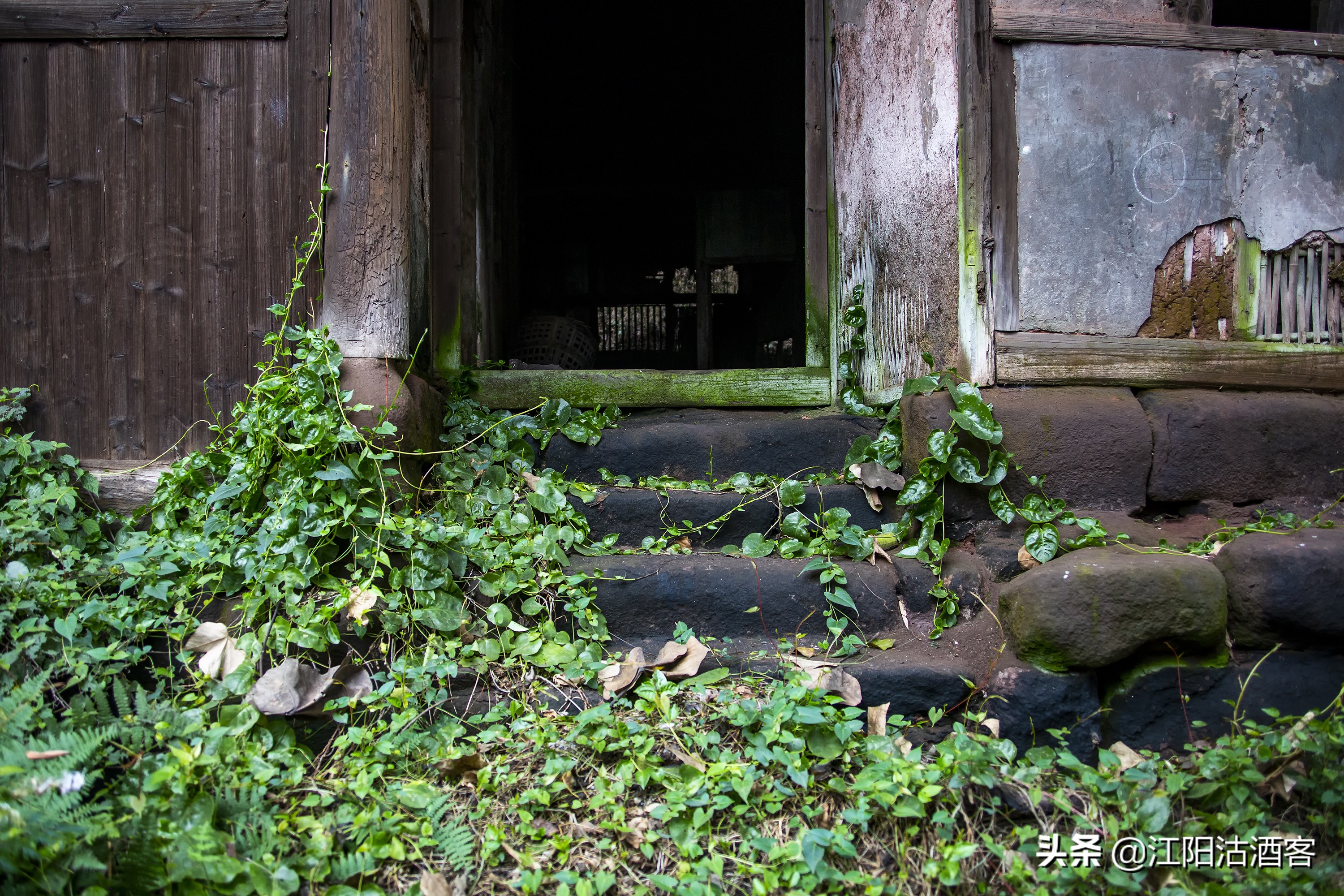泸州沙湾，一条通往茶马古道的长江水上码头，如今落寞无人问