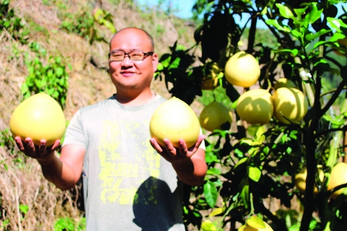 广西依靠水果脱贫致富,广西村官带领村民致富
