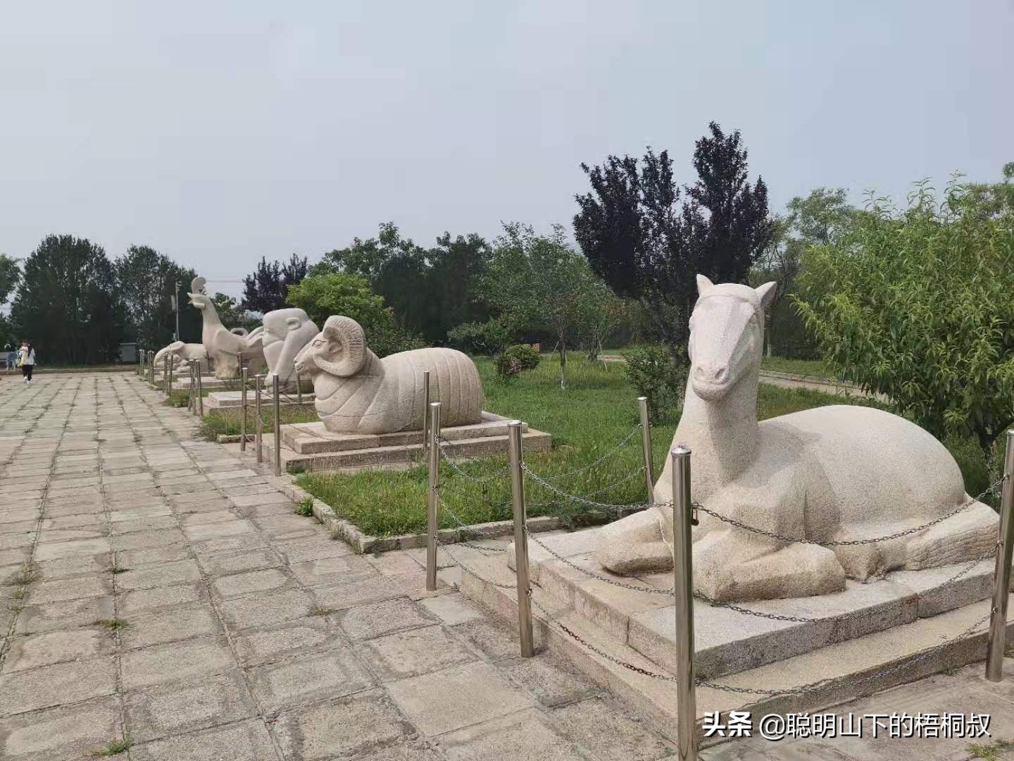 蟒山国家森林公园自由行攻略,北京蟒山森林公园游玩攻略