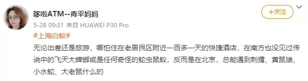 北京的黄鼠狼,北京市区黄鼠狼