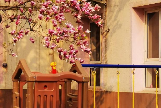 冲刺高考的梦想,高考冲刺我要上北大