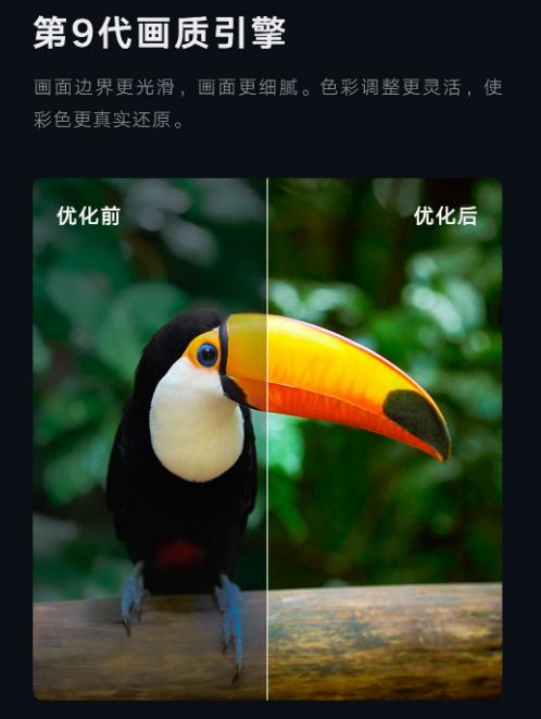 国产电视怎么选,年轻人电视到底应该怎么选