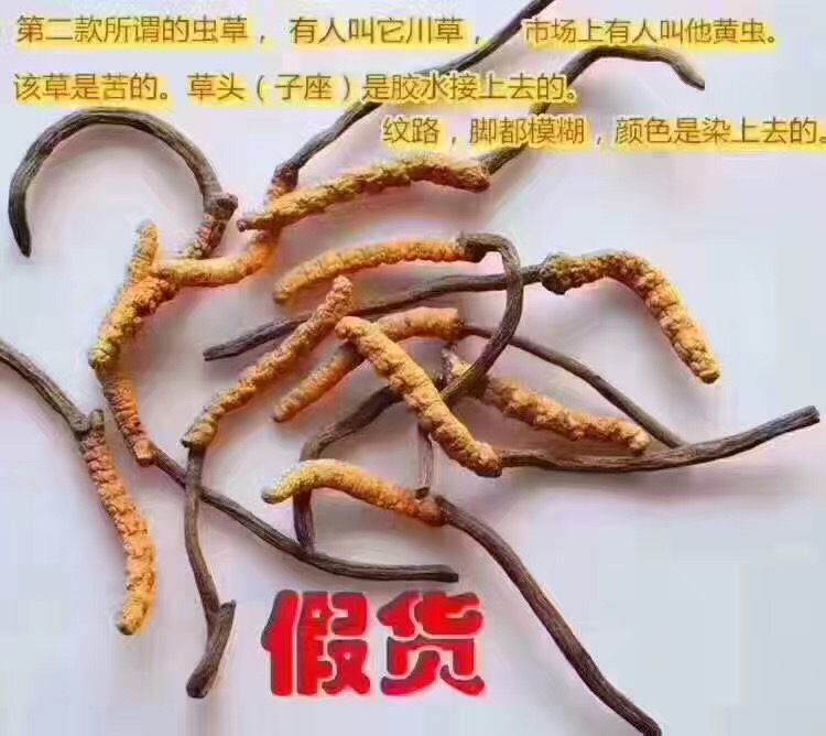 冬虫夏草假货多还是燕窝假货多,冬虫夏草断草有假货吗