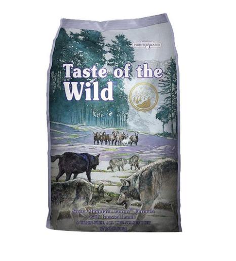 贫民窟女孩养猫好物推荐,贫民窟狗粮测评