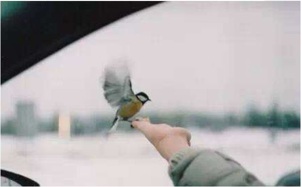 武志红最经典的书推荐,武志红推荐哲学书籍