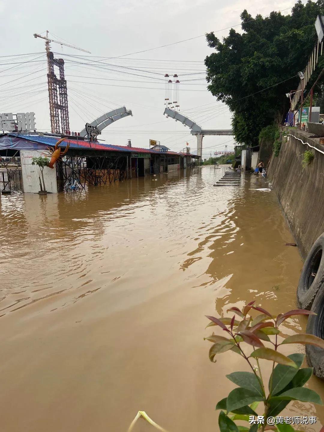 梧州西江洪水,梧州人面对洪水