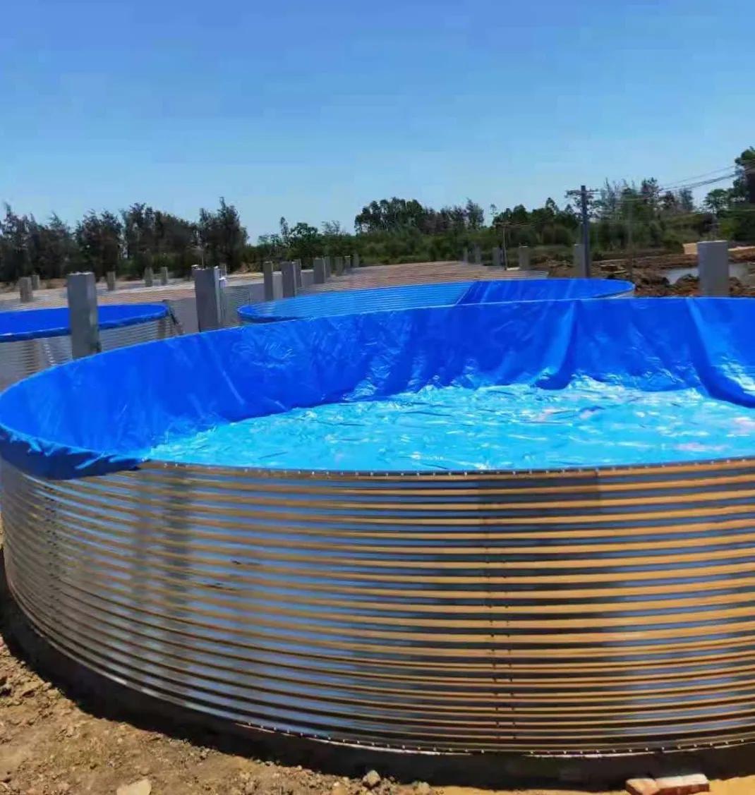 2019南美白对虾养殖形势,2021南美白对虾病害