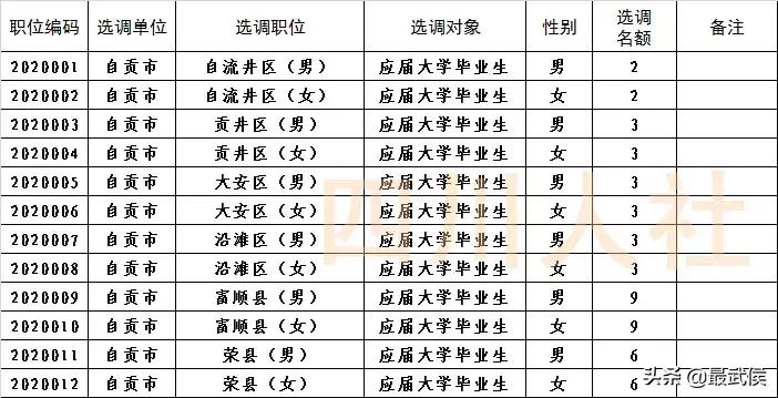 四川选调生2024选调公告官网,四川选调生2024选调公告名额