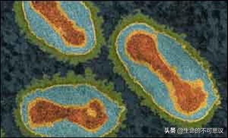 历史上的瘟疫是靠什么战胜的,中国历史上有几次大瘟疫