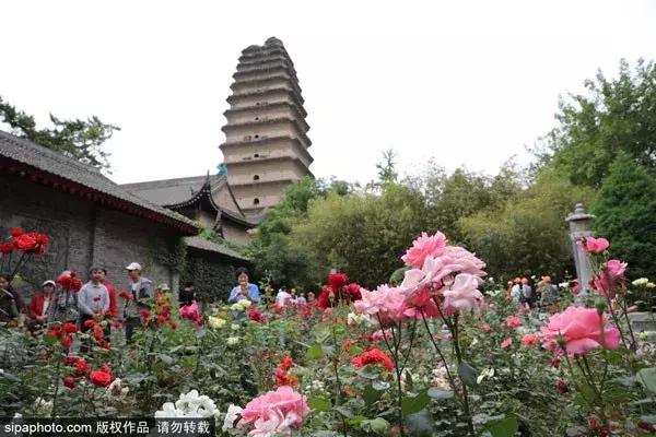 9月特价机票抢购,8月特价机票汇总