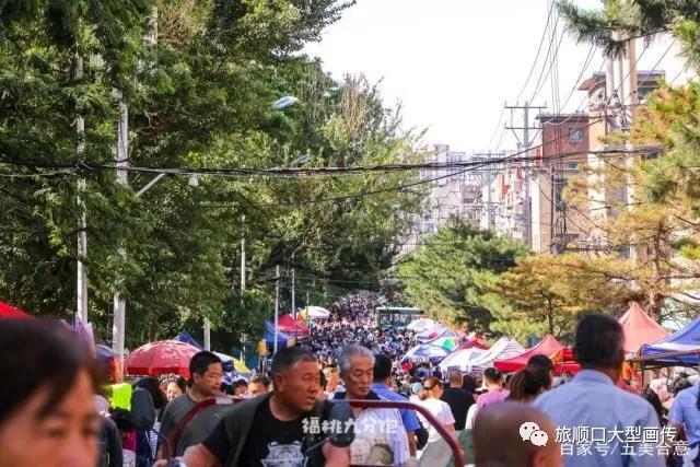 这里是锦州栏目,这里是锦州英语