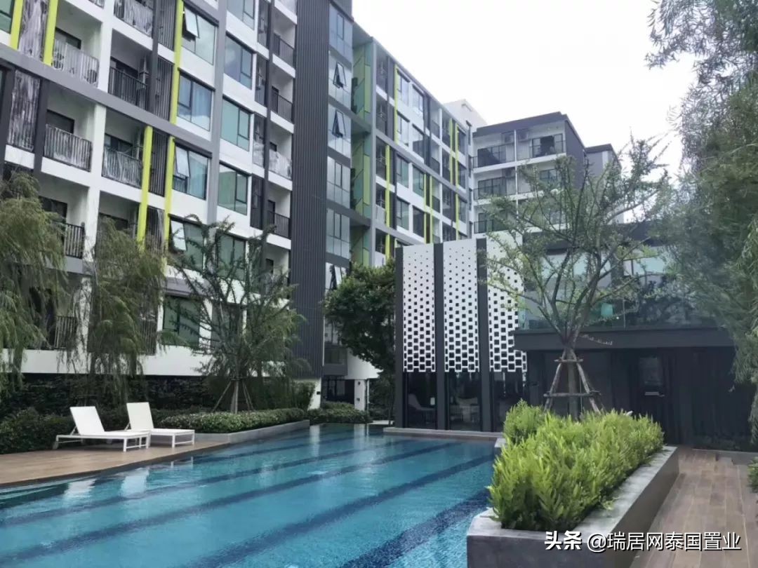 瑞居网最新消息,瑞居网