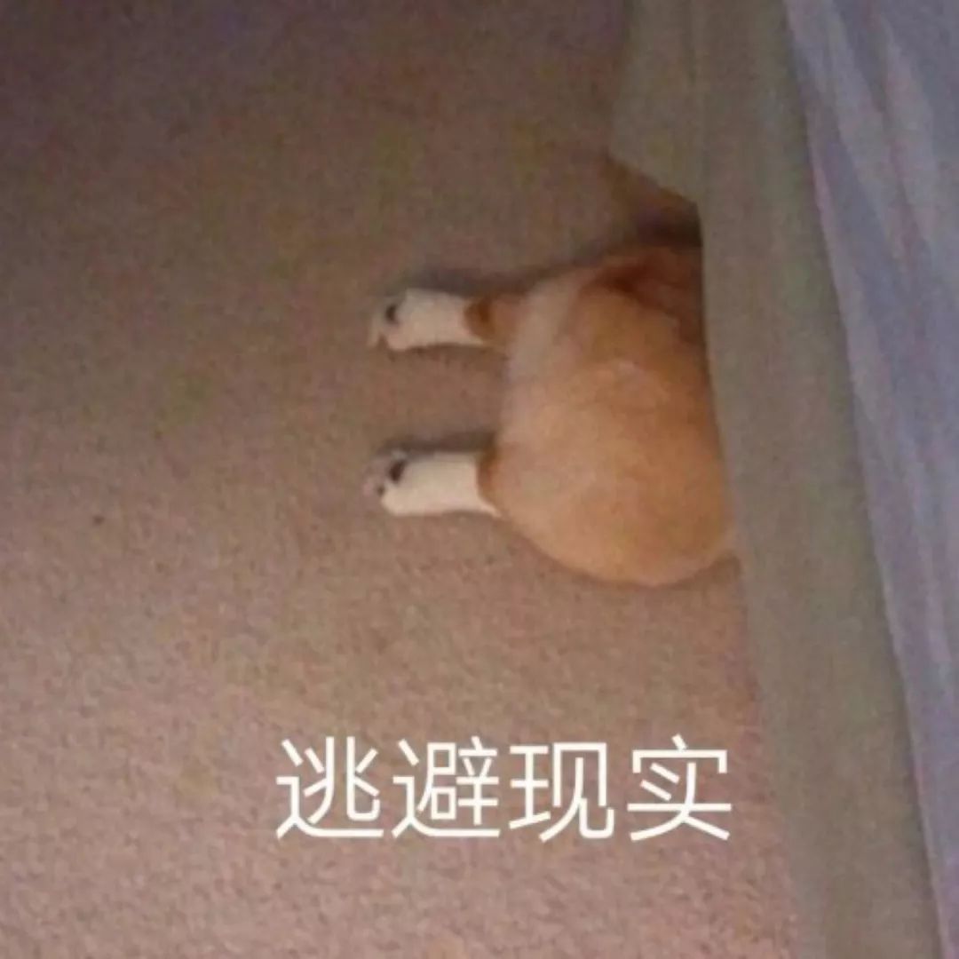 法考逆风翻盘技巧,运气或实力