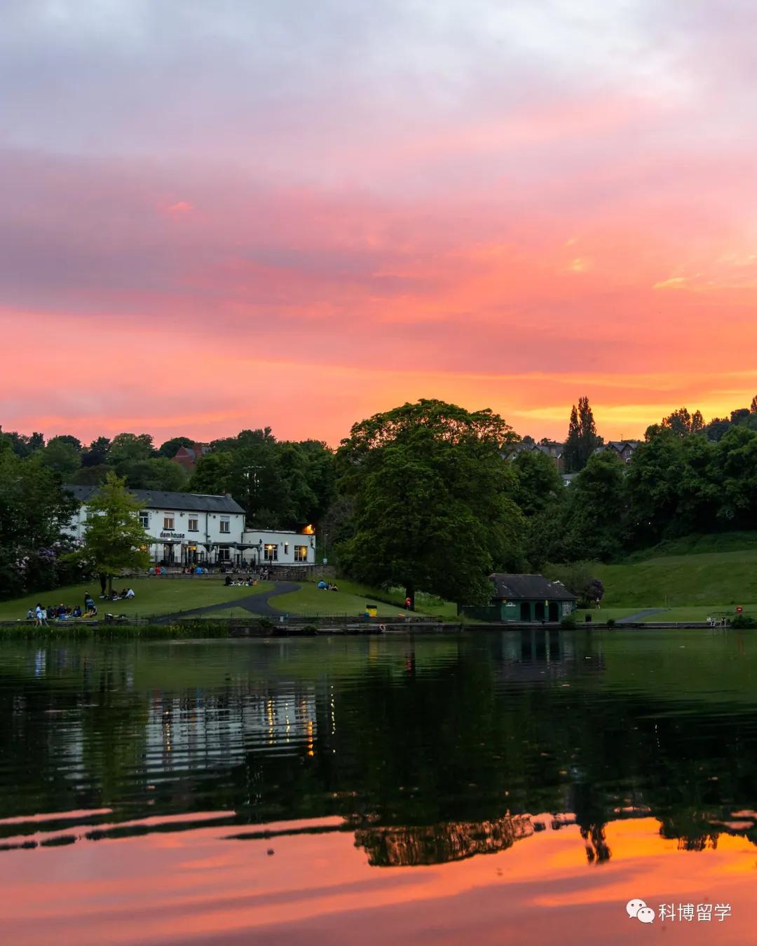 在英成长那些事|疫情下，从高中到大学的过渡