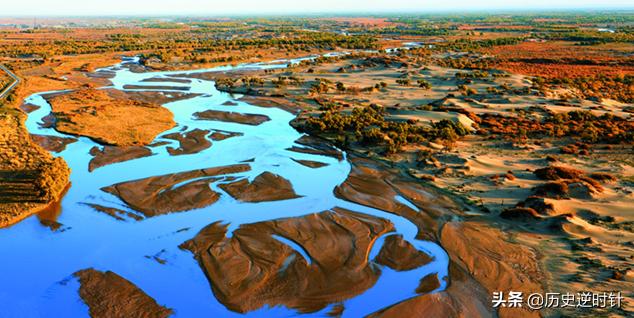 第一大沙尘源地阿拉善，骆驼养殖数量连年增长，背后有哪些隐忧？