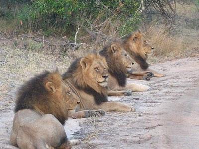 坏男孩联盟央视完整国语版高清,坏男孩联盟300分钟纪录片中文