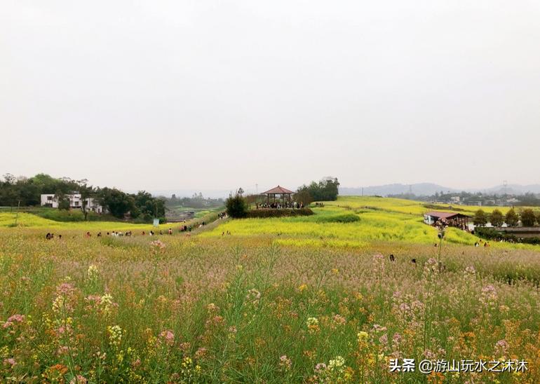 永川吃喝攻略旅游景点,永川旅游攻略推荐