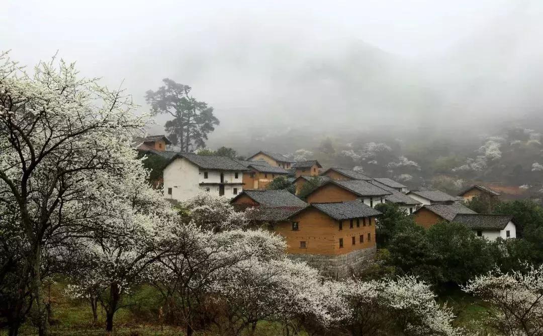 广西有座小城,广西的一座小县城