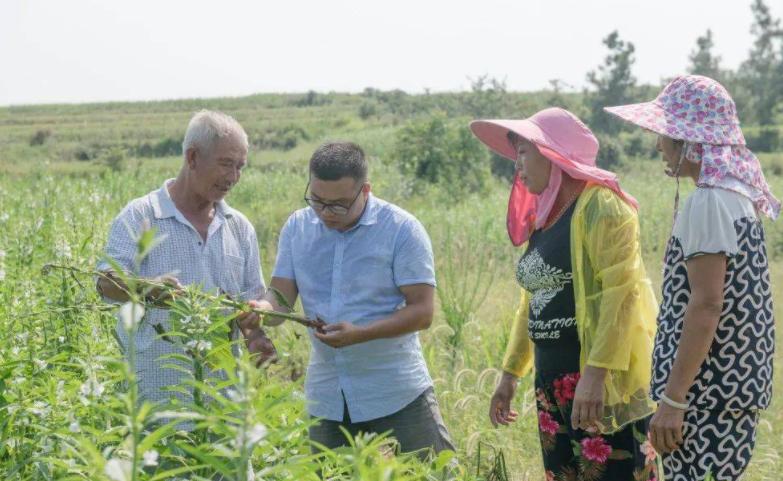 2023公务员离职率,公务员离职率