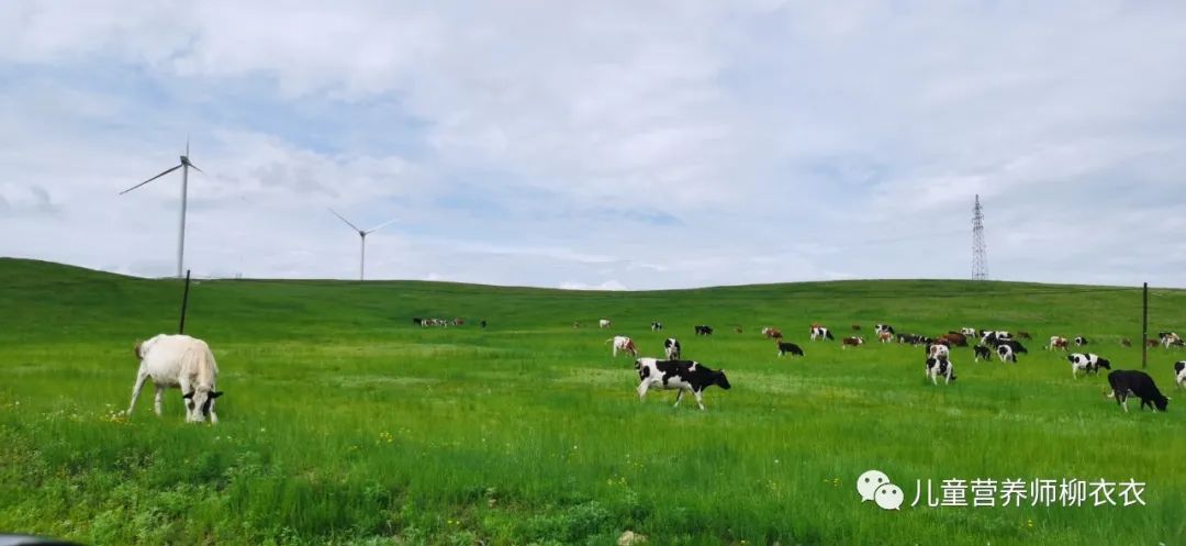 暑假内蒙古旅游攻略亲子,暑假亲子游玩内蒙古5天4夜