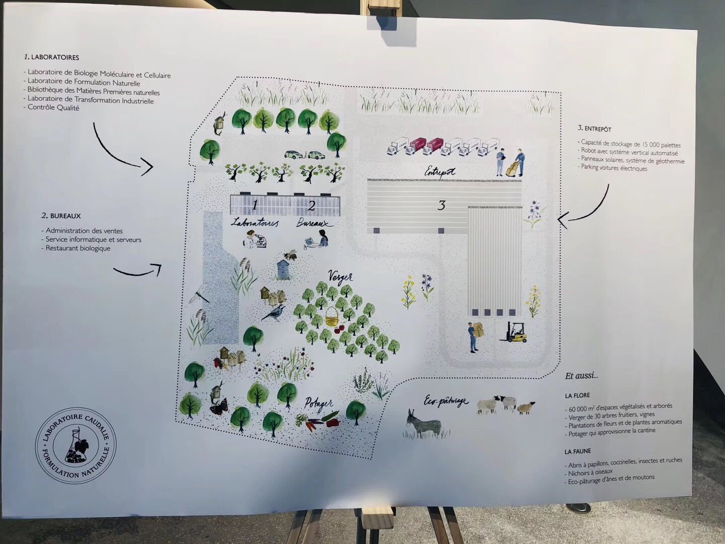 聚焦丨探秘欧缇丽法国新研发中心，我们取到这些“经”