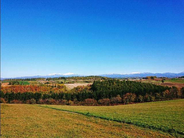 北海道登别到美瑛町需多久,日本北海道美瑛川的雪景