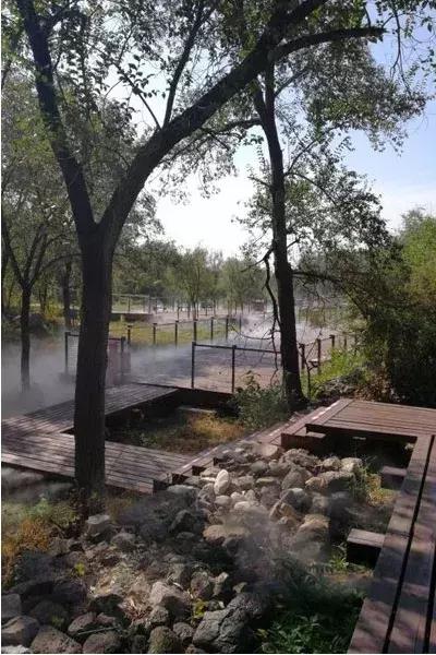 春暖花开，北京周边适合登高的地方，花开正美！还有专线能直达一个5*级A**长城景区！