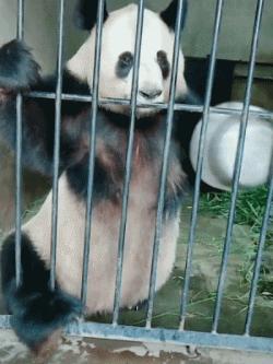 儿子心理有问题怎么办,儿子心理有毛病怎么办