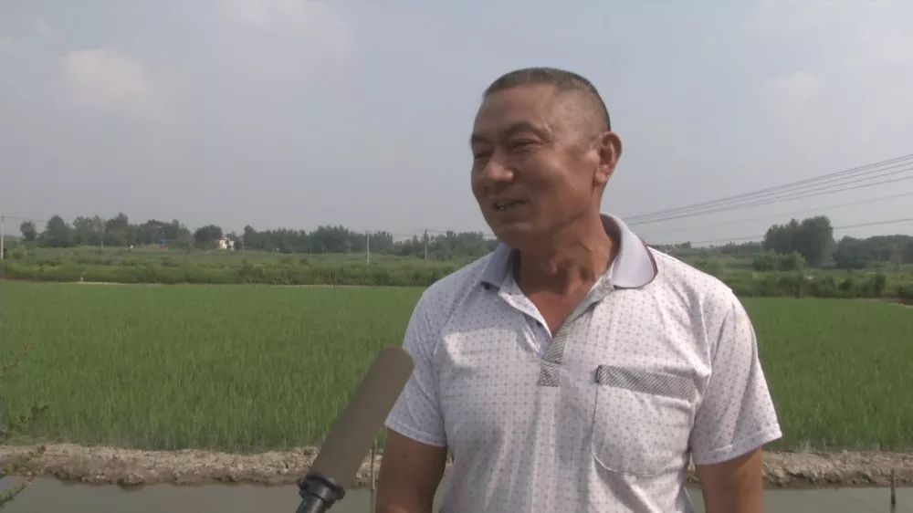 孝昌农业发展现状简介,稻虾第一村产业示范园