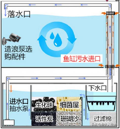 养鱼怎样完善过滤系统,底滤缸养鱼用哪种过滤