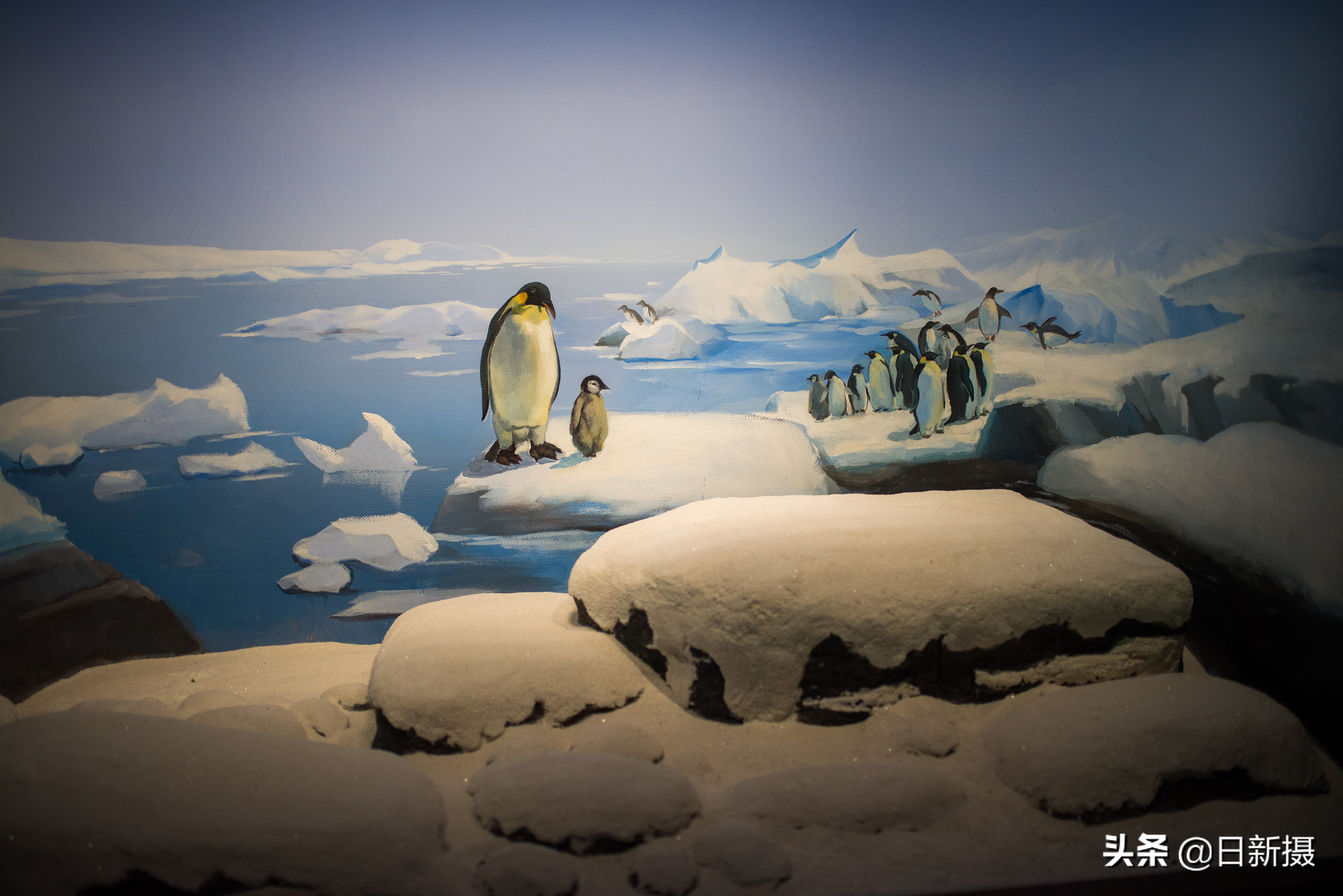 国家海洋博物馆之行,国家海洋博物馆蓝色海洋体验馆