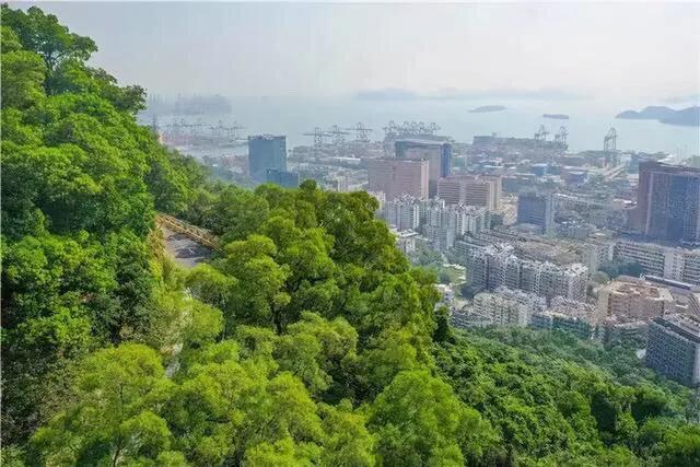 深圳海边最好的公园,深圳有几个靠海的公园