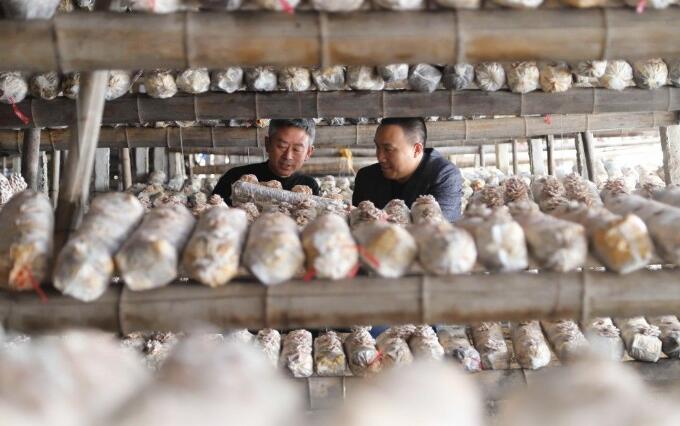 高端媒体看磁县,高端媒体看邢台新华社