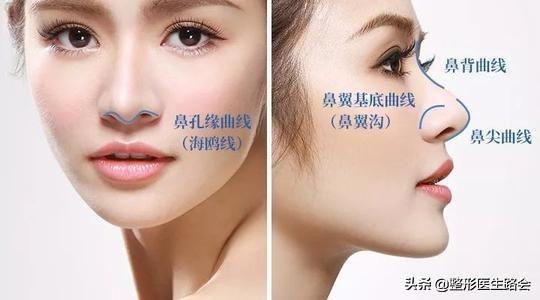 听说好看的鼻子都有一只海鸥在飞，你的海鸥飞得怎么样？