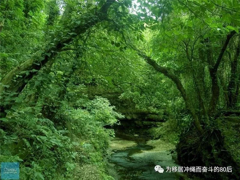 12月份冲绳攻略,移居冲绳条件