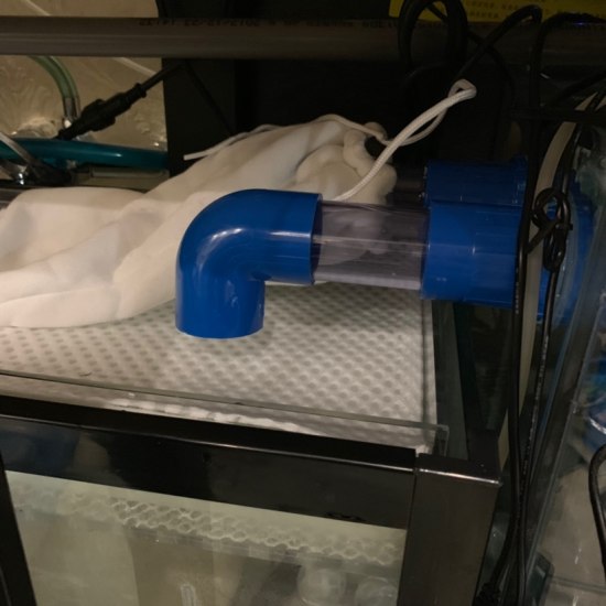 可丽爱鱼缸沉淀仓上放干湿分离盒,可丽爱沉淀仓可以拆吗