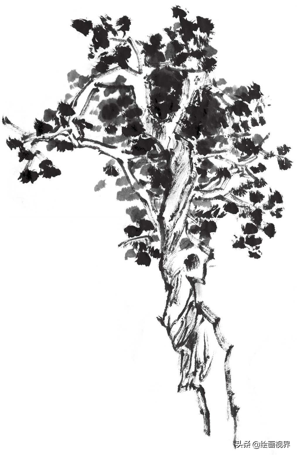 国画双钩树的画法入门,国画杂树与山石的画法图片